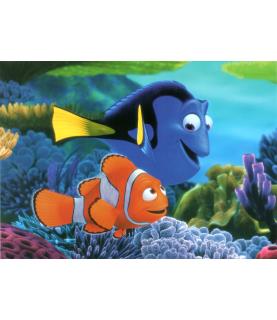 Searching for Nemo