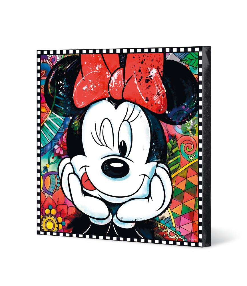 picture minnie cm 50x50