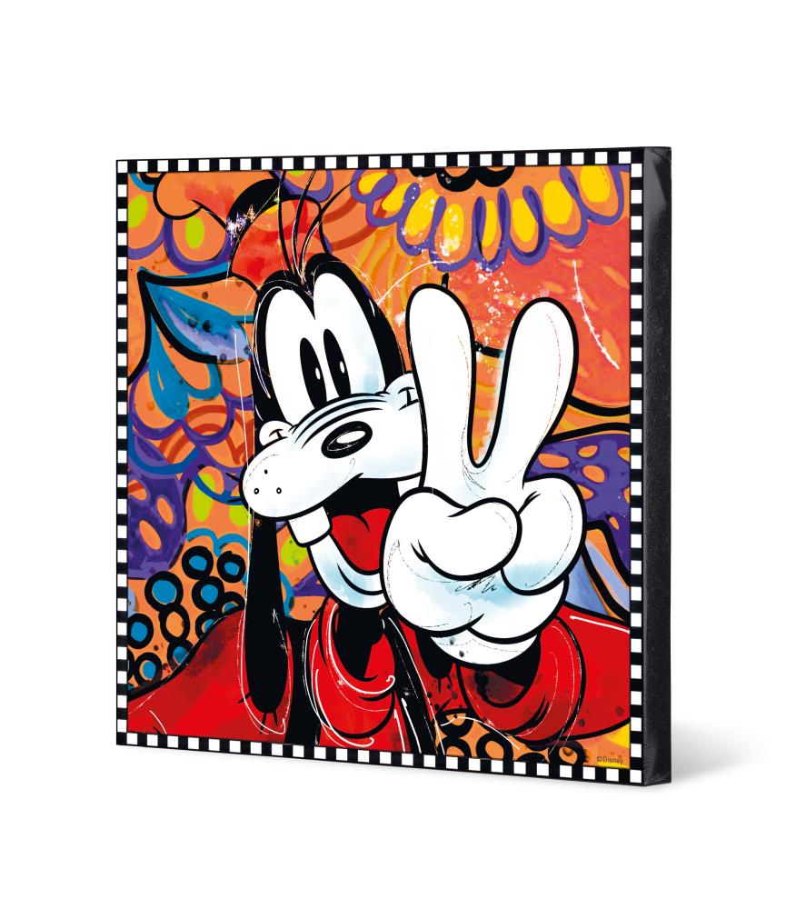 picture goofy cm 50x50