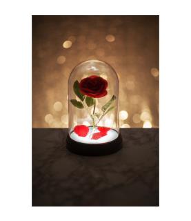 Enchanted Rose Light