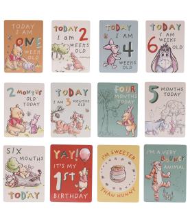 Magical Beginnings Winnie The Pooh Milestone Cards