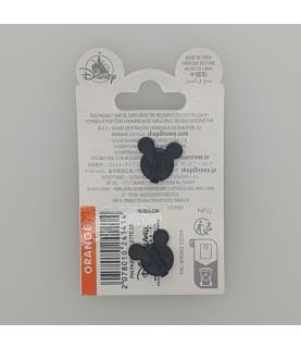 DLP - Pascal - Paint Palette and Lantern - Tangled