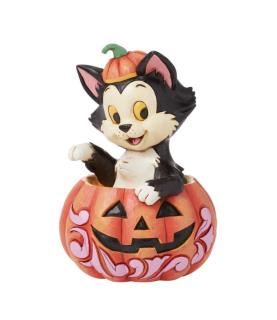 Figaro in Jack-O-Lantern Mini (Exp 2025-05-01)