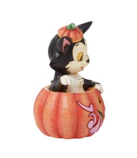 Figaro in Jack-O-Lantern Mini (Exp 2025-05-01)