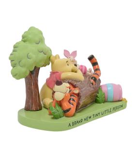 Winnie & Friends - A brand new tiny little person