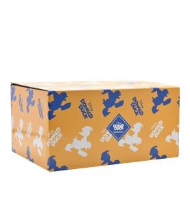 Donald Duck Bookends