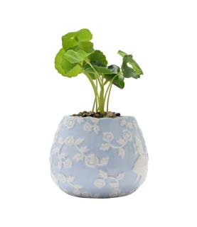 Alice in Wonderland Set of 2 Mini Planters