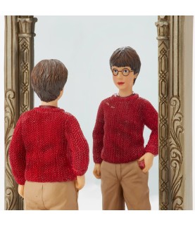 Harry's Reflection (Harry Potter & the Mirror of Erised) (Exp 2025-08-14)