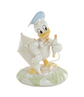 Flying high with Donald