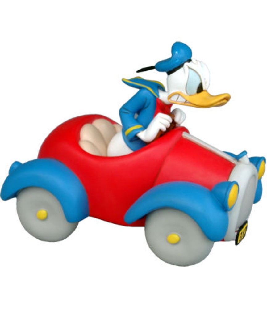 Donald in car new