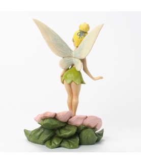 Flower Fairy: Tinker Bell