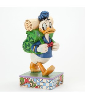 I'd rather be hiking: Donald Duck