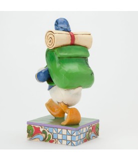 I'd rather be hiking: Donald Duck