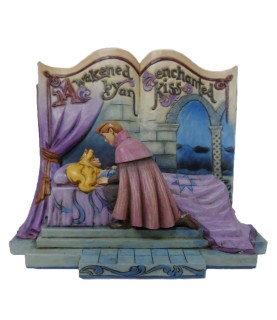 Sleeping Beauty Story Book