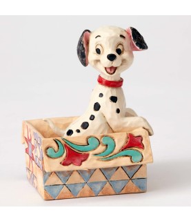 Mini Lucky in a box