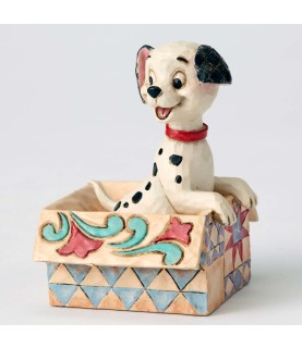 Mini Lucky in a box