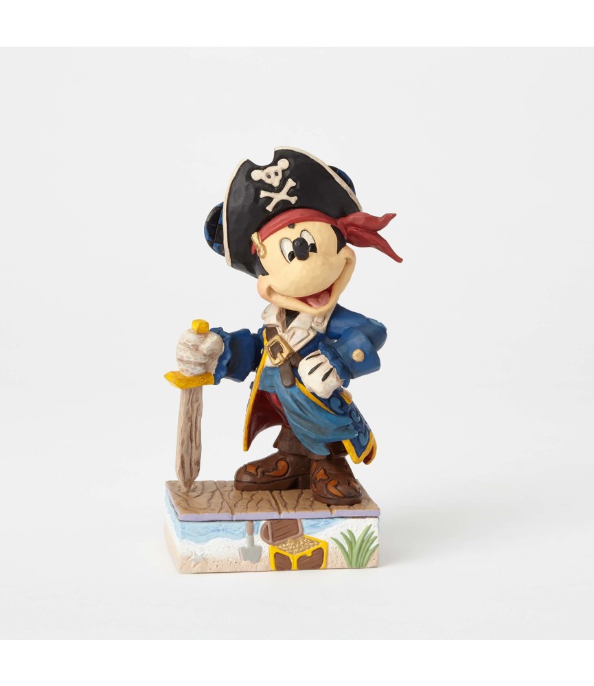 Mickey Pirate