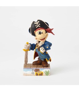 Mickey Pirate