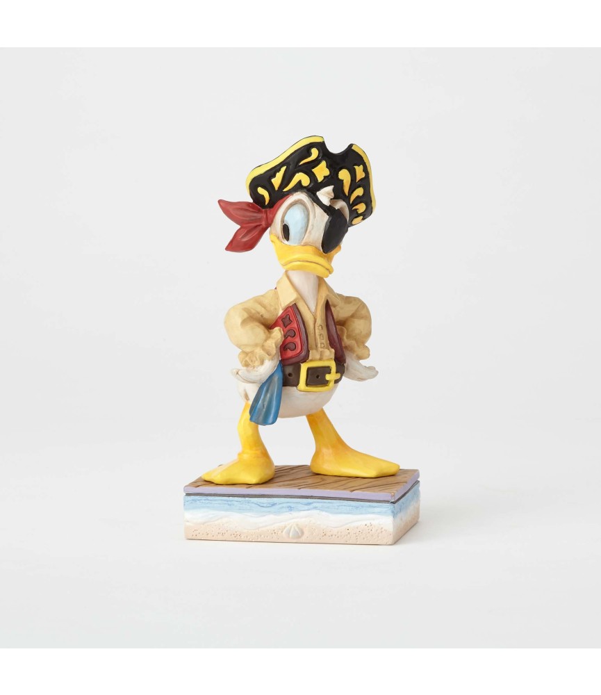 Salty Sailor:Donald Pirate