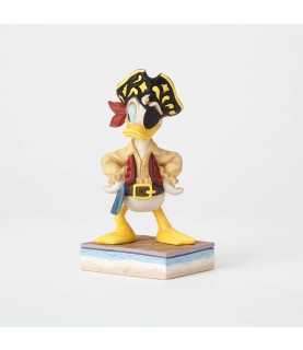 Salty Sailor:Donald Pirate