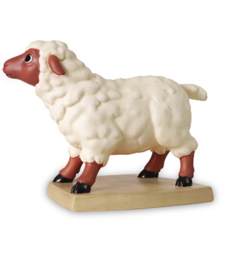 Sheep: Curious Companion