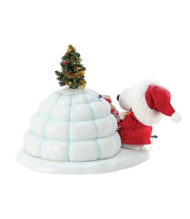 Avance: Snoopy's Puffer Igloo (Exp 2025-07-14)