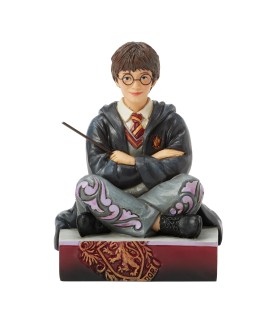 Advance: The Chosen One (Harry Potter Personality Pose) (Exp 2025-08-20)
