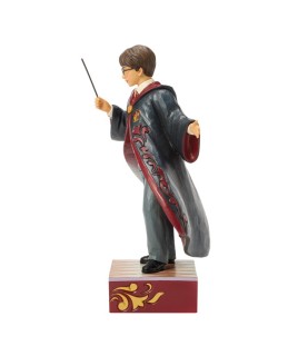 Pré-paiement: Harry Potter Magical Moment (Harry Potter Robe Scene) (Exp 2026-08-13)