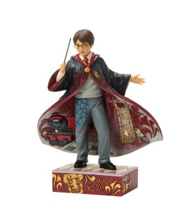 Avance: Harry Potter Magical Moment (Harry Potter Robe Scene) (Expected)