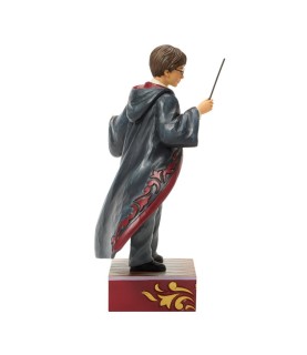 Avance: Harry Potter Magical Moment (Harry Potter Robe Scene) (Expected)