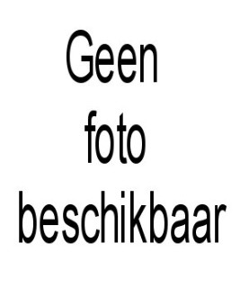 Disney Alphabet: Y - Timon n Pumba (Expected)