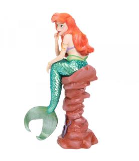 Ariel