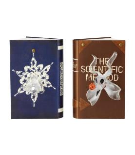 Light Up Zero Bookends