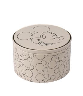 Mickey Single Storage Pot
