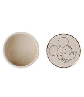 Mickey Single Storage Pot