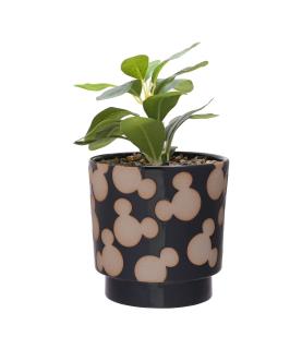 Disney Mickey Shapes Black Planter