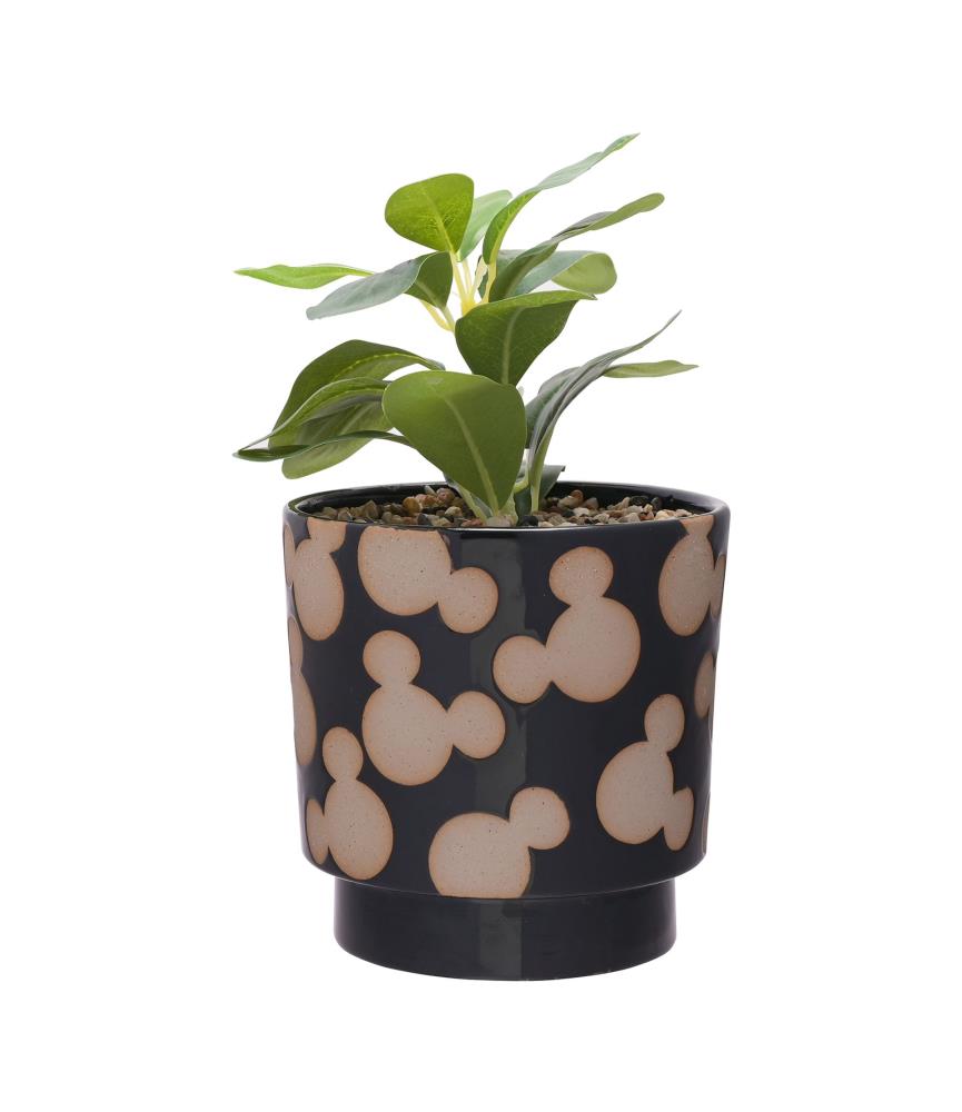 Disney Mickey Shapes Black Planter