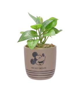 Disney Mickey Planter
