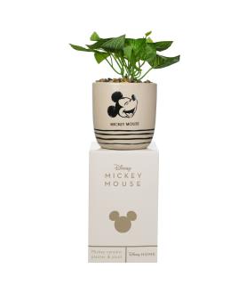 Disney Mickey Planter