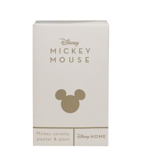 Disney Mickey Planter