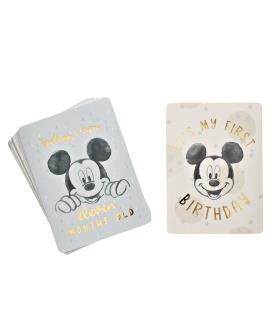Magical Beginnings Mickey Milestones cards